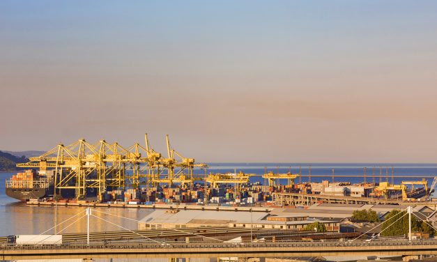 Porto di Trieste, manifestazione dispersa con idranti