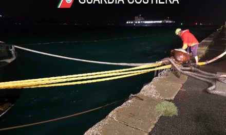 Burrasca al porto di Trieste: portacontainer rompono gli ormeggi<h2 class='anw-subtitle'>Guardia costiera impegnata in interventi di emergenza via mare e via terra</h2>