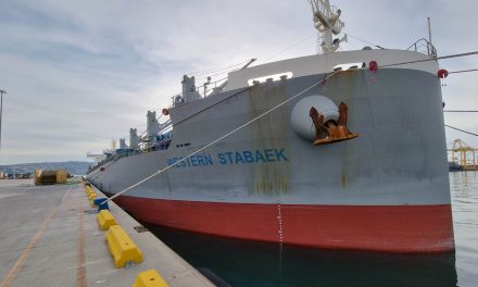 Porto di Trieste, nave da record alla Piattaforma logistica di HHLA<h2 class='anw-subtitle'>Sbarcato alluminio per un traffico che potrebbe avere nuovi sviluppi</h2>